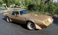 /album/pascal/a1979-pontiac-firebird-jpg1/